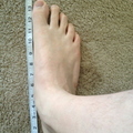 14 Inch Feet